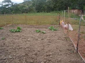 The first vegetable garden will be here.