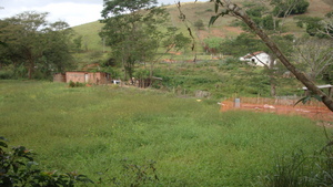They are planning to plant here.