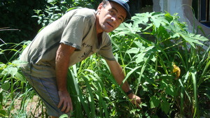 Proud of his saplings.