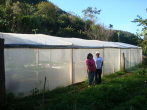 New greenhouse 2