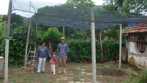 The tree nursery is ready and with plenty of room.