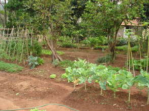 A view of the vegetable garden.