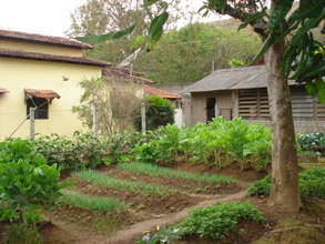 Another view of the garden