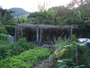Antonio had this tree nursery