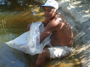 The fish arrive at the water reservoir