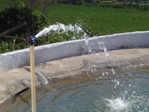 Pumping water