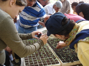 Students and the planting trays