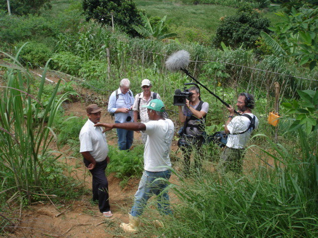Provide Vegetable Gardens for Families in Brazil