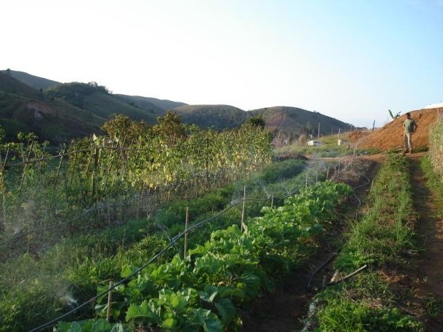 Provide Vegetable Gardens for Families in Brazil