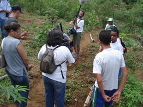 Visiting a vegetable garden