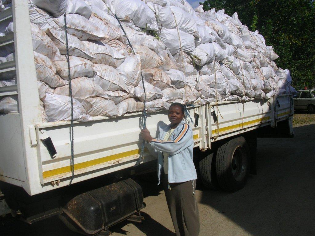 80,000! That's a truck load of seedlings!