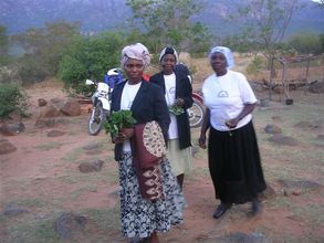 Propagation of herbs has many benefits in rural Africa