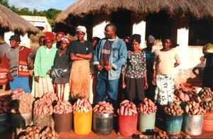 Women in Mutasa selling surplus sweet potatoes
