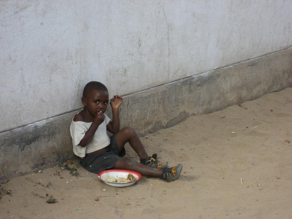 Help 100 Additional Families Grow Food in Zimbabwe