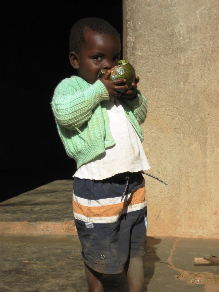 Help 100 Additional Families Grow Food in Zimbabwe