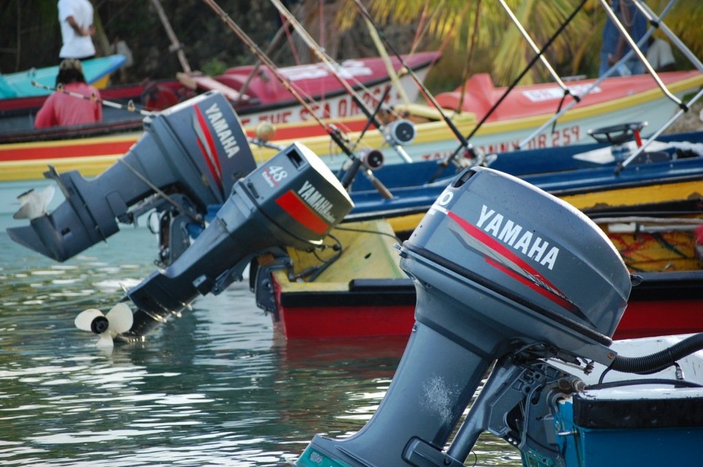 Snorkeling Shop for Oracabessa Bay Fish Sanctuary