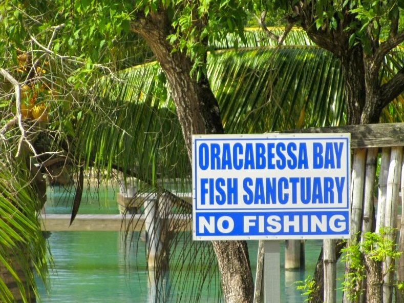Snorkeling Shop for Oracabessa Bay Fish Sanctuary