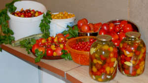 Winter prep-over 20 tomato varieties in our garden