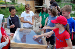 Students discover DIY solar dehydrators