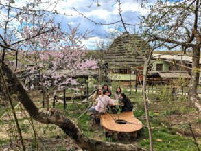 Strategic team meeting close to nature