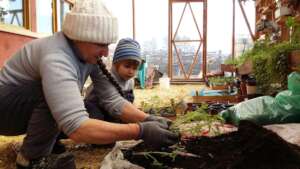 Discovering organic gardening in a temporary home