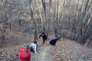 Forest explorers club