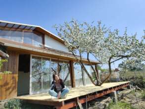 New terrace prompts reflection under apple tree