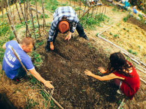Organic gardening - caring for our land