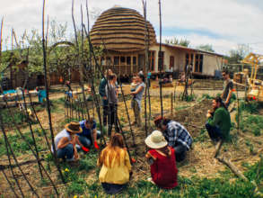Organic gardening practical workshop