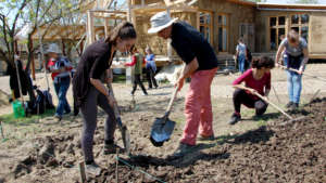 Organic gardening workshop