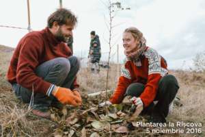 Mobilizing volunteers for tree-planting