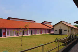 APAE