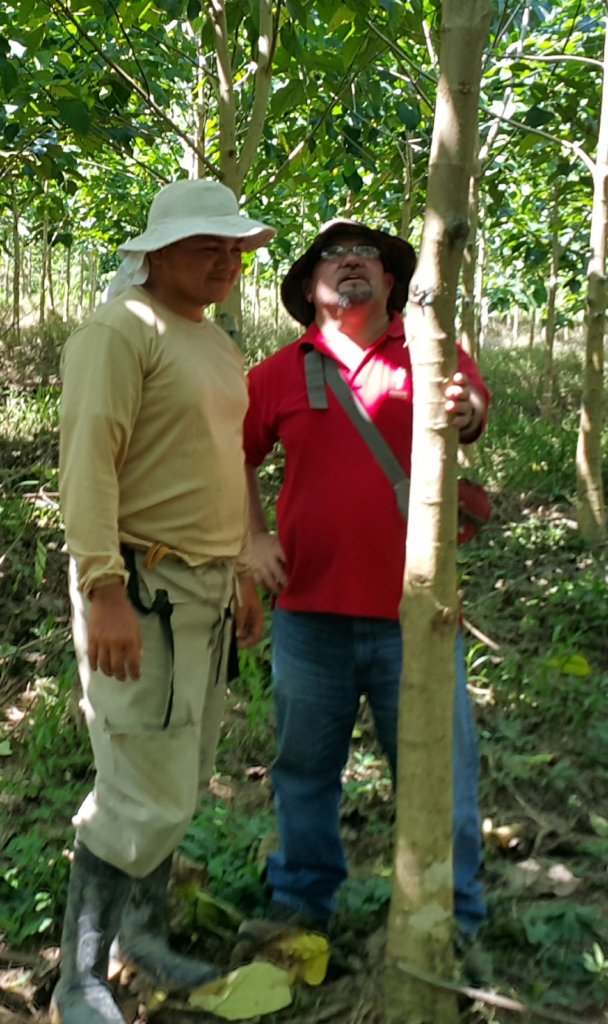 Jose and Marvin Picado admiring fast growing trees