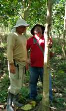 Jose and Marvin Picado admiring fast growing trees