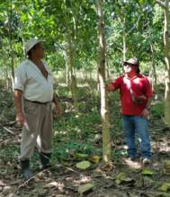 Don Paco and Jose discussing the tree growth