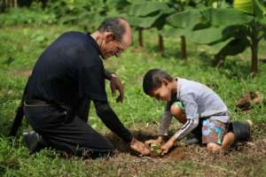 Help Sustainable Reforestation in Costa Rica