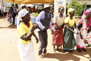 A Village at a time in Malawi: Assets for Incomes!