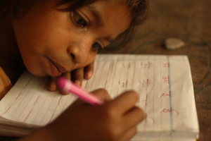 Bridge Course helps child in age appropriate class