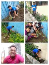 Environmental day celebration in the homes