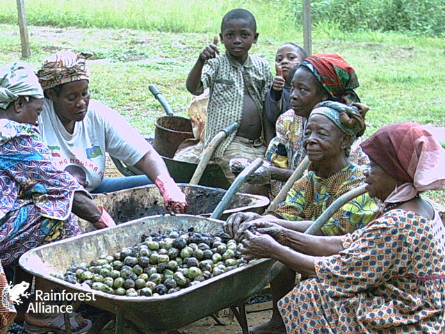 Help Protect 75,000 Acres of Congo Basin Forest
