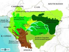 Map of the Congo Basin