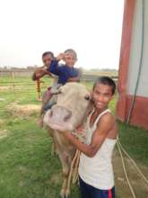 Our boys with our lovely buffalo