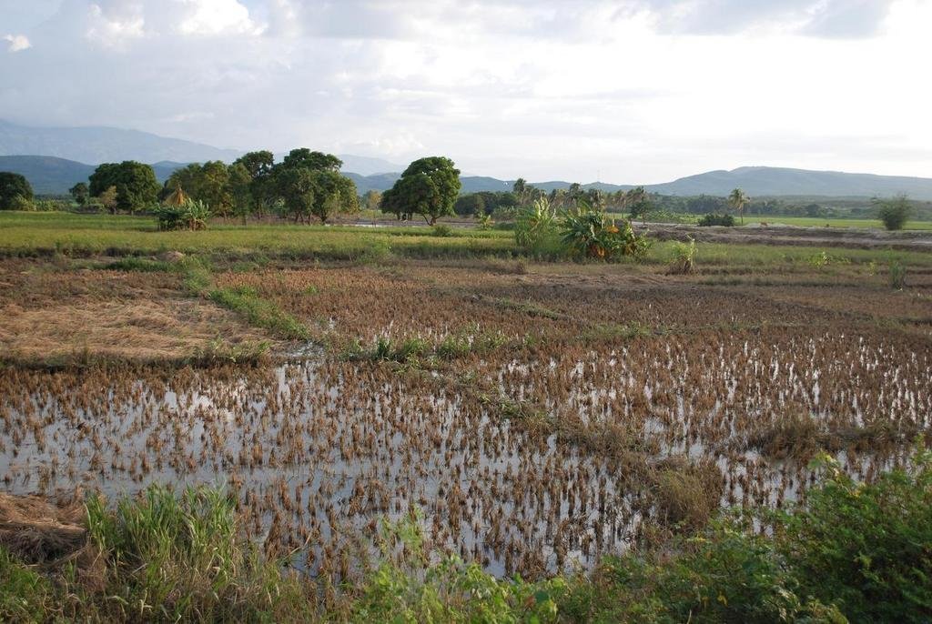 Partners In Health - Hurricane Recovery in Haiti