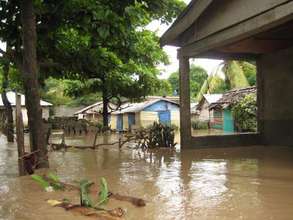 Flooded Homes
