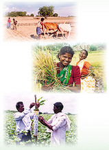 The AME Foundation of India