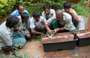 Vegetable Gardens & Internet for Indian Youth