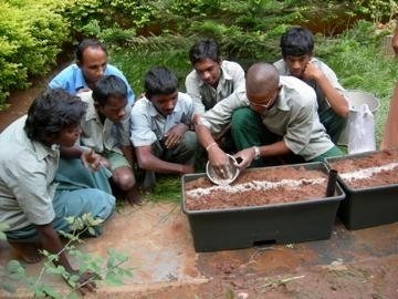Vegetable Gardens & Internet for Indian Youth