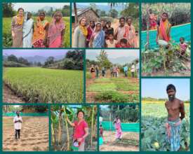Photos from our field visit last year
