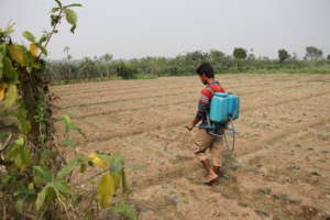 AMS farmer applying organic fertiliser