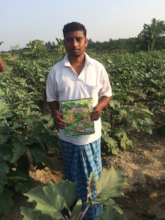 AMS farmer